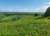 image_Home et Pet Sitting en Bourgogne